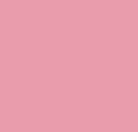 Ankle Weights — Pearl Dream